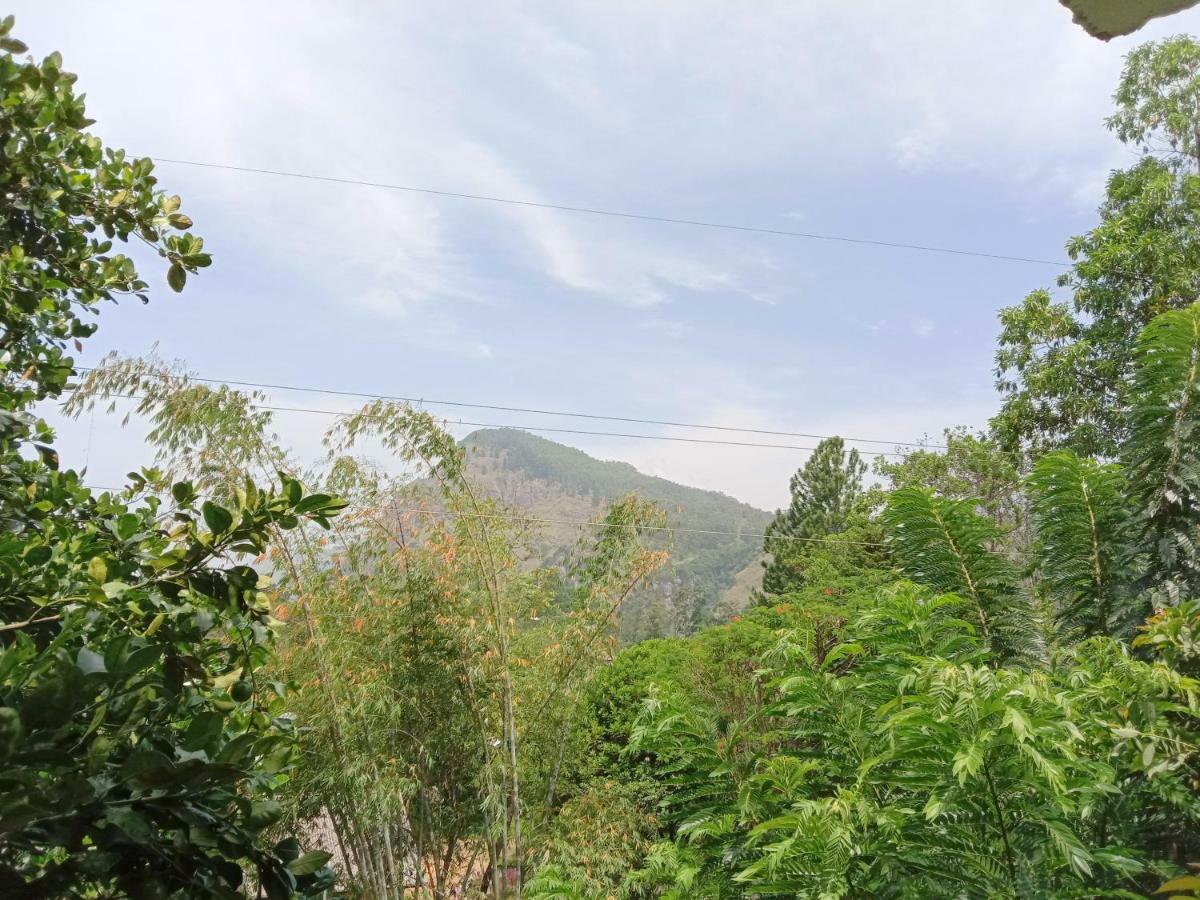 Little Paradise Homestay *